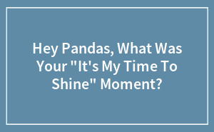 Hey Pandas, What Was Your "It's My Time To Shine" Moment?