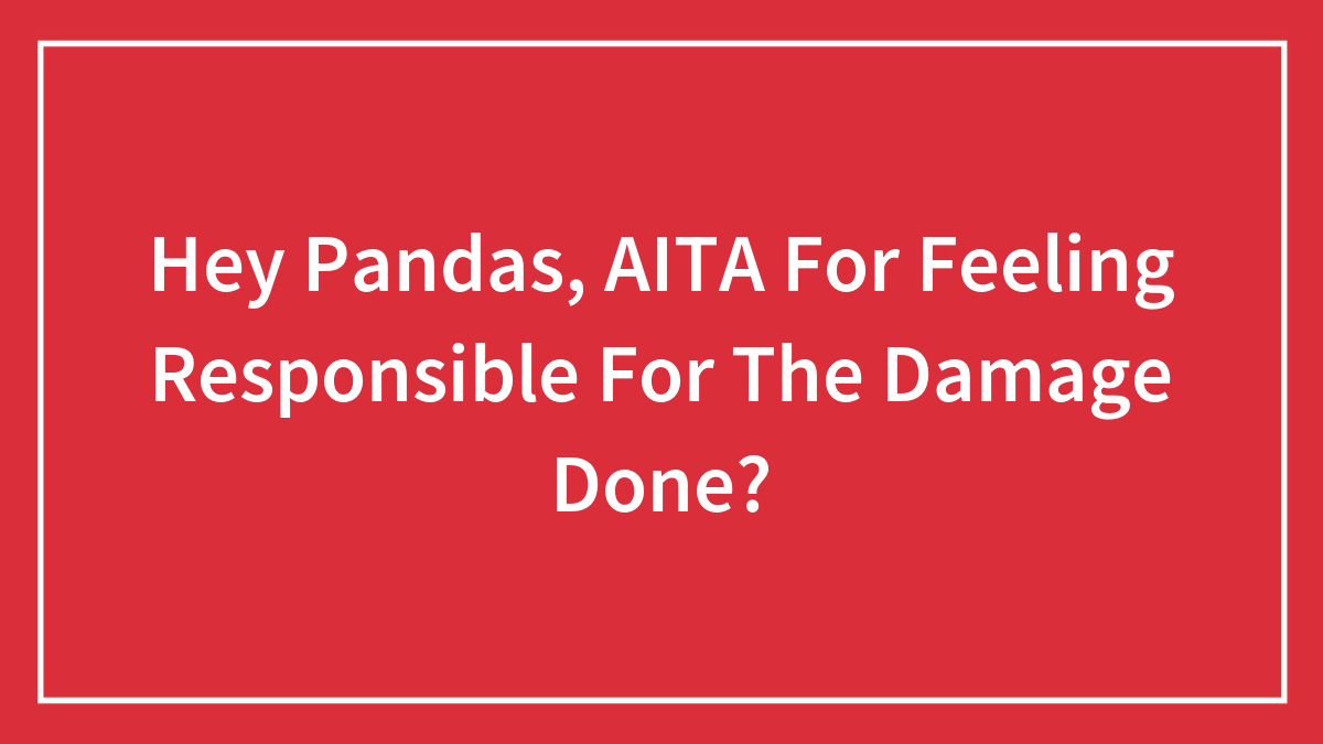 Hey Pandas, AITA For Feeling Responsible For The Damage Done? (Closed)