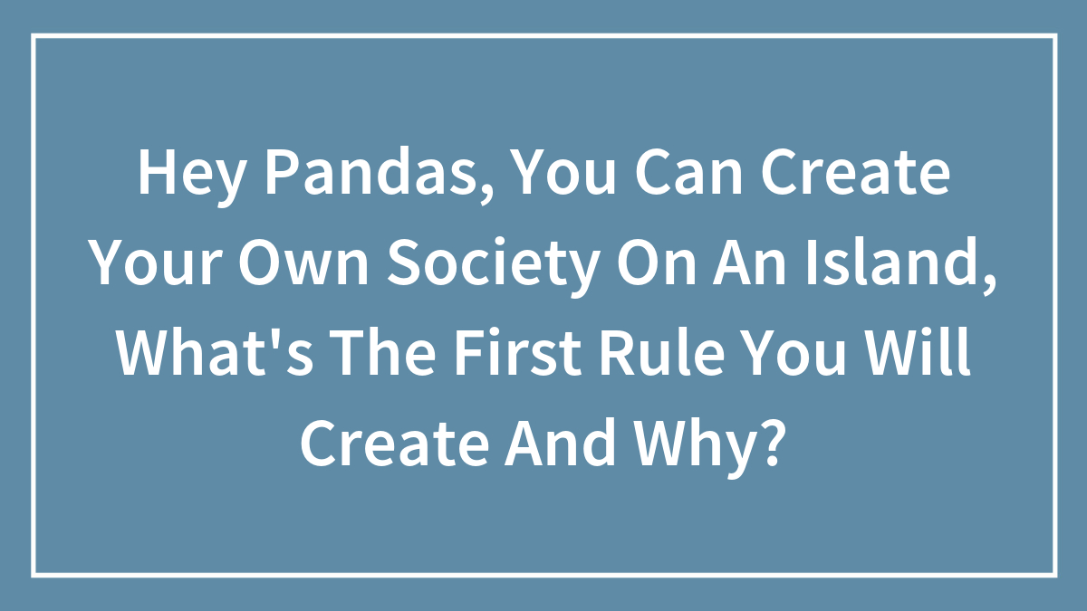 Hey Pandas, You Can Create Your Own Society On An Island, What’s The First Rule You Will Create And Why?