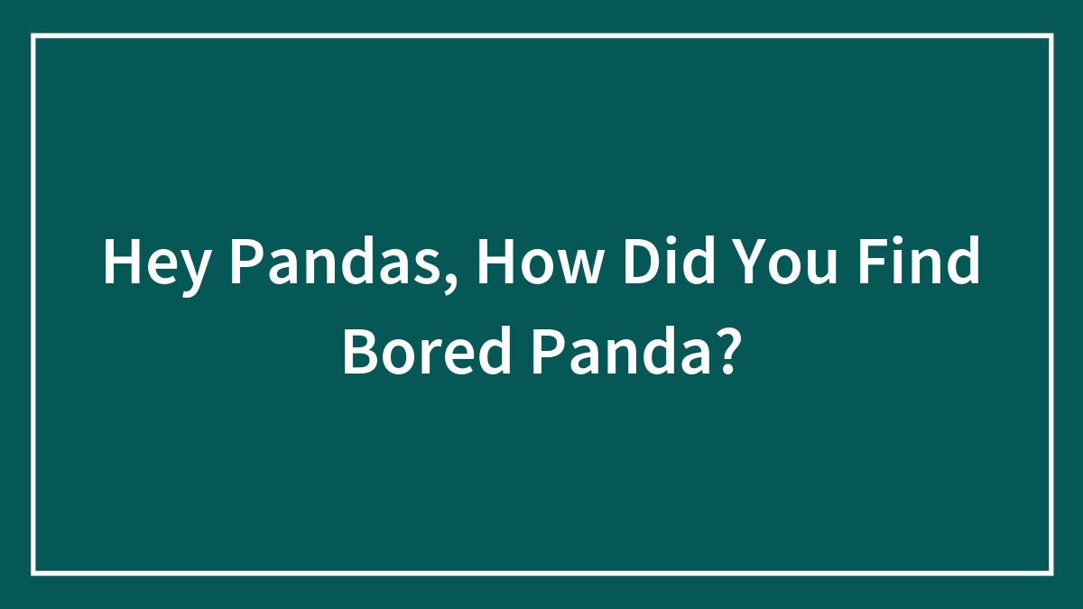 Hey Pandas, How Did You Find Bored Panda?