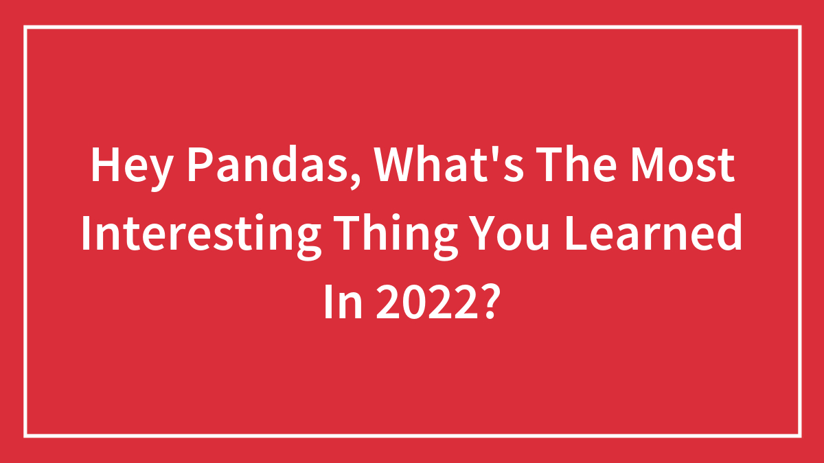 Hey Pandas, What’s The Most Interesting Thing You Learned In 2022? (Closed)