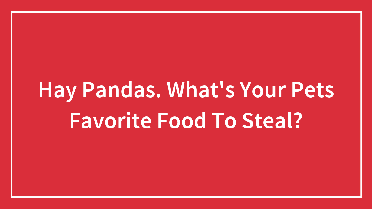 Hay Pandas. What’s Your Pets Favorite Food To Steal?