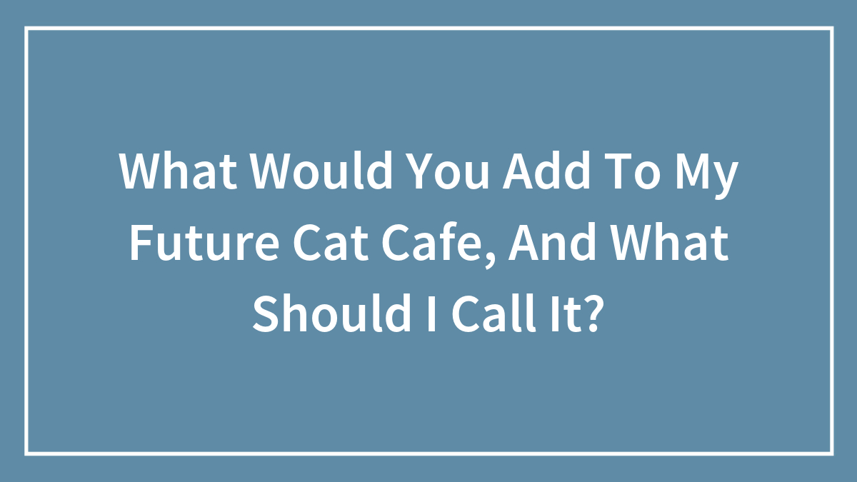 What Would You Add To My Future Cat Cafe, And What Should I Call It?