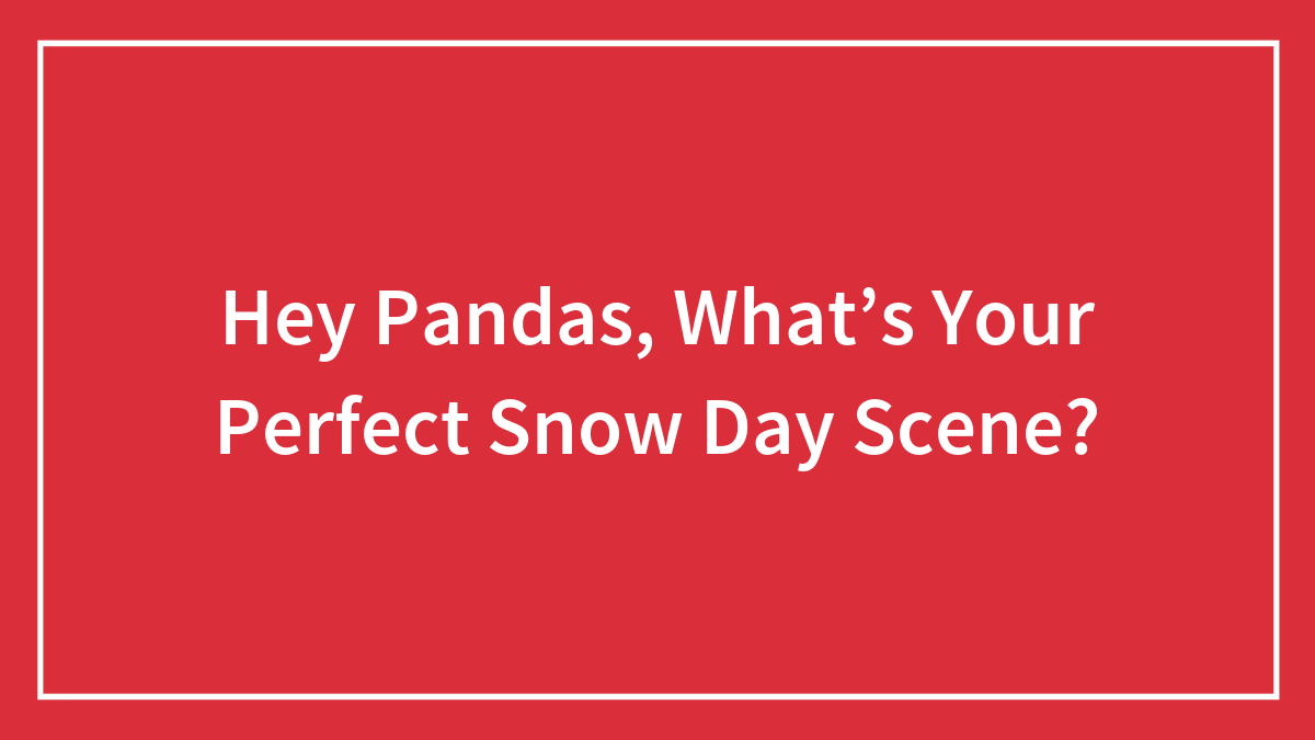 Hey Pandas, What’s Your Perfect Snow Day Scene?