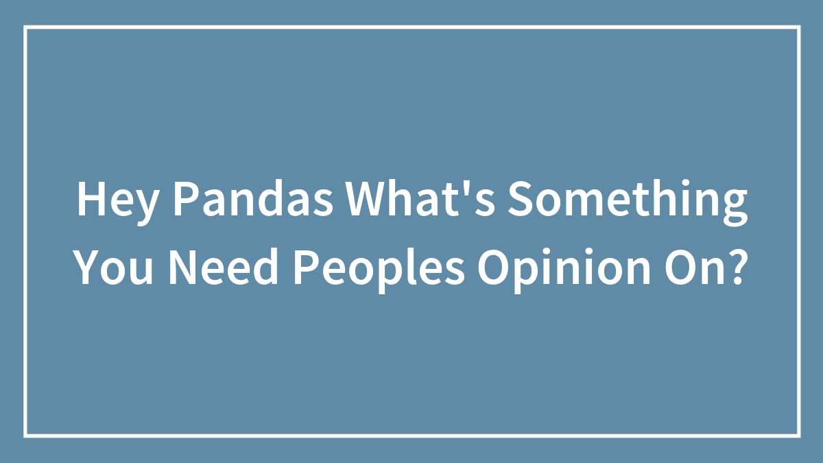 Hey Pandas What’s Something You Need Peoples Opinion On?