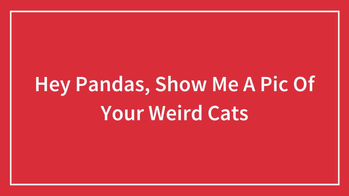 Hey Pandas, Show Me A Pic Of Your Weird Cats
