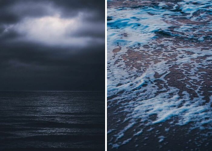 Hey Pandas, Post The Best Picture You Took In The Year Of 2022 (Closed)