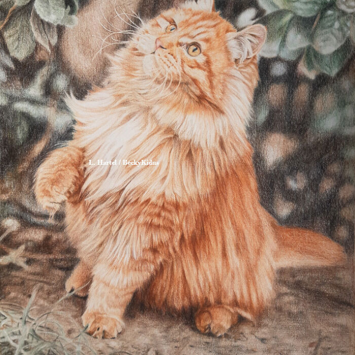 “The Caturdays Project”: 25 Cat Drawings I Made In 2022