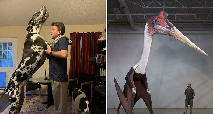 Be Amazed By The Sheer Size Of These 119 Things That Are Bigger Than You Think