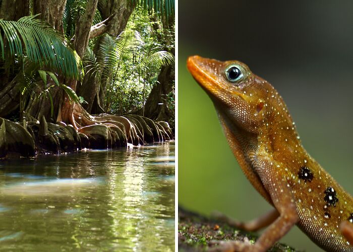I Photographed Dominica: The Nature Island Of The Caribbean (14 Pics)
