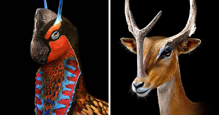 This Artist Shows What Long-Extinct Animals Might’ve Looked Like In His 21 Illustrations