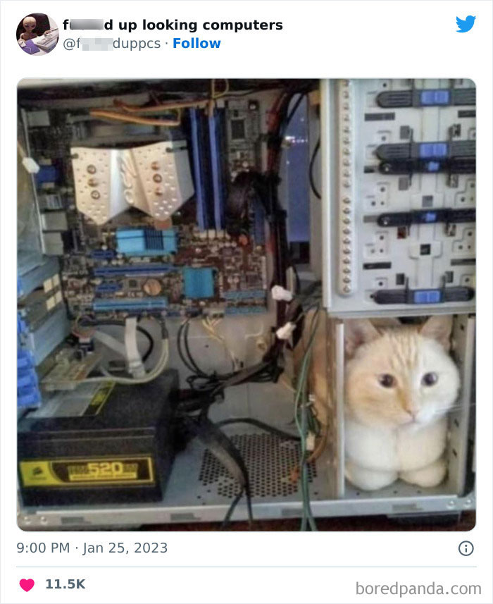 Cursed-Looking-Computers