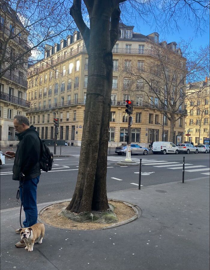 Small, Squishy Guy Spotted Out For A Sunday Morning Stroll In Paris