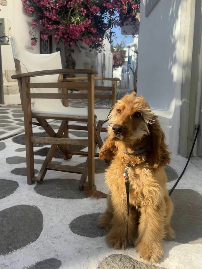 The Most Photogenic Model In Paros, Greece