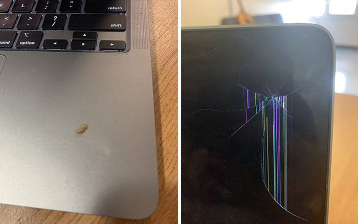 My Laptop Was Murdered By A Single Grain Of Chipotle Brown Rice That Got Closed In The Screen