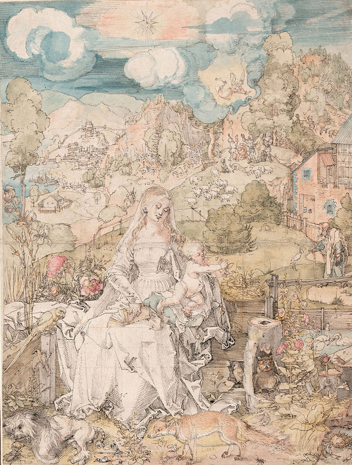 The Virgin And Child With A Multitude Of Animals And Plants By Albrecht Dürer
