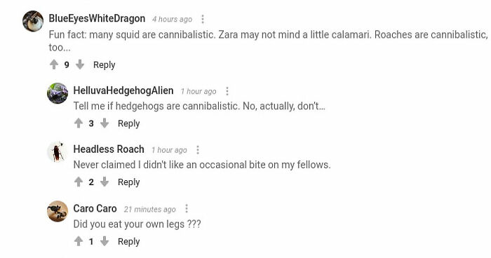 Hey Pandas, What’s The Funniest Comment Section Conversation You’ve Seen So Far? (Closed)