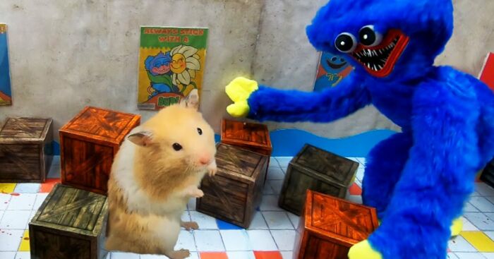 My Hamster Escapes From Hostile Huggy Wuggy In The Awesome Poppy Playtime Maze That I Made (12 Pics)