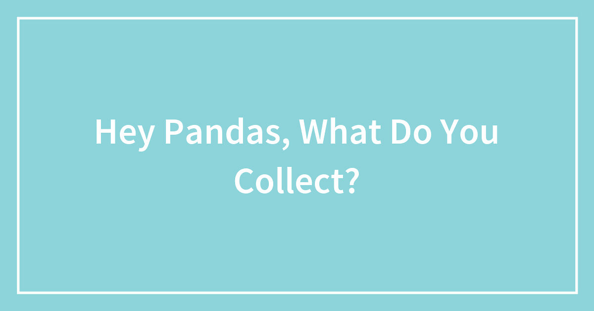 Hey Pandas, What Do You Collect? | Bored Panda