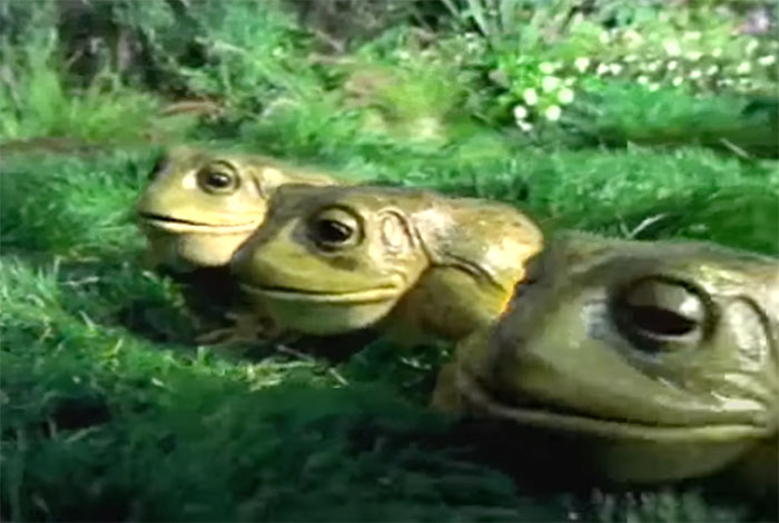 "The Budweiser Frogs"