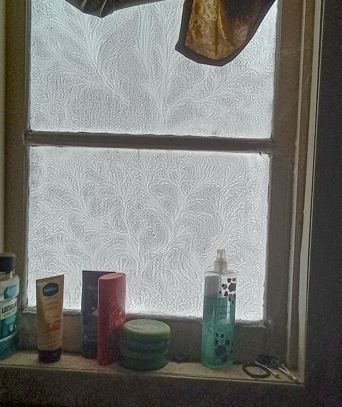 -25°F Thought The Pattern Was Cool. Bathroom Window Looking At The Lake