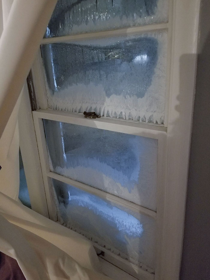 Our Windows In Minnesota Right Now