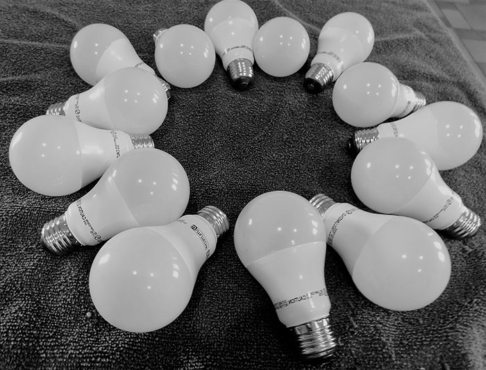 Choose Energy-Efficient Bulbs