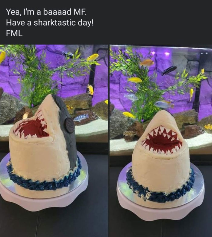 Local Baker [he Does It As A Side-Job] Just Posted This Cake & His Caption Appropriately Describes My Thoughts About The Cake!