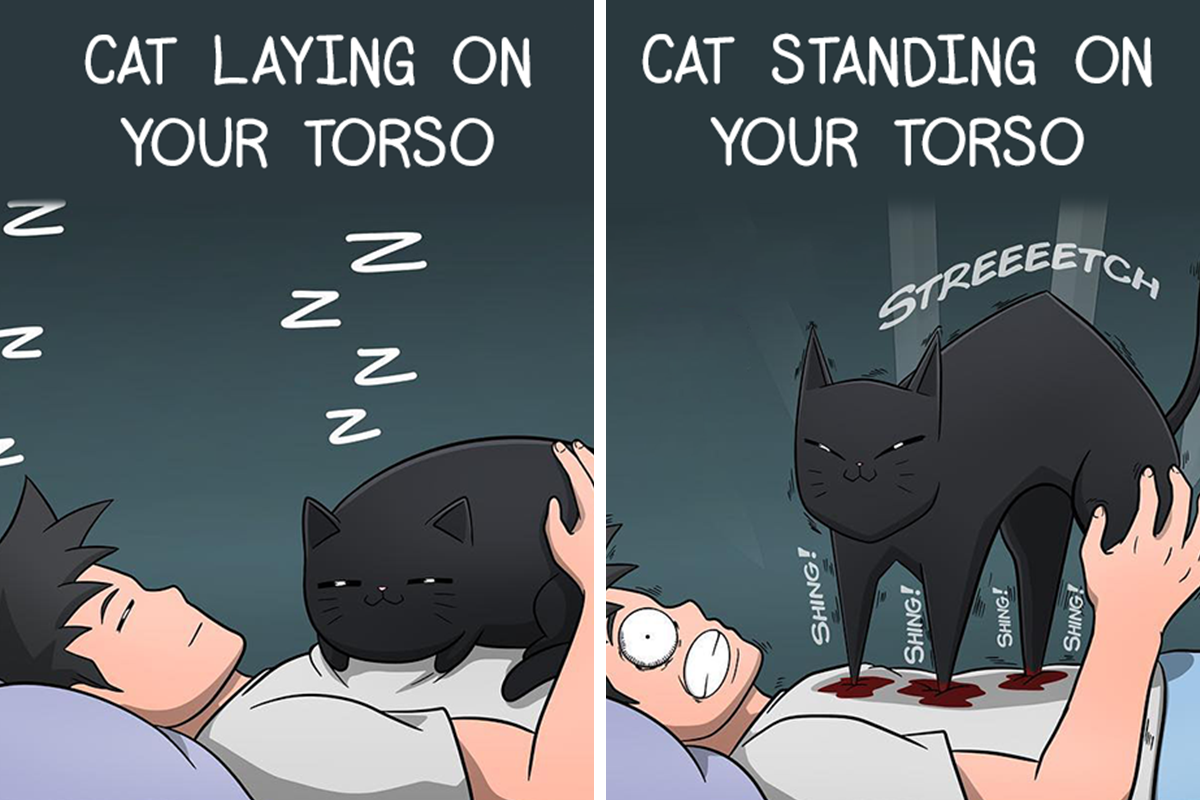 Funny Comics Illustrate The Quirks Of Living With A Cat By Cody Stone Stowe  (40 New Pics) | Bored Panda