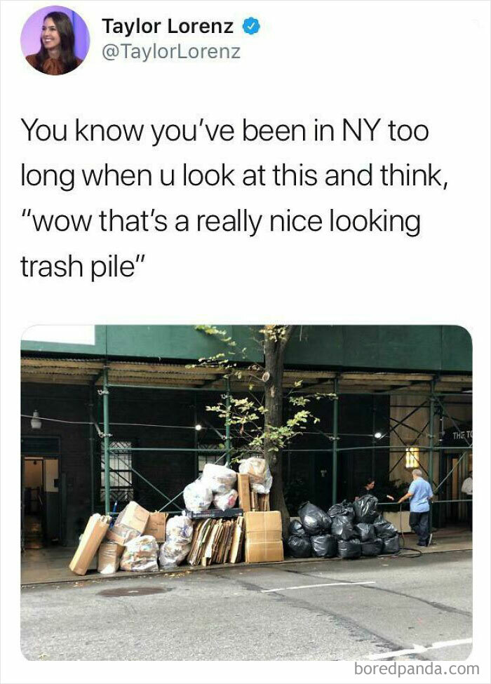 “A Really Nice Looking Trash Pile”