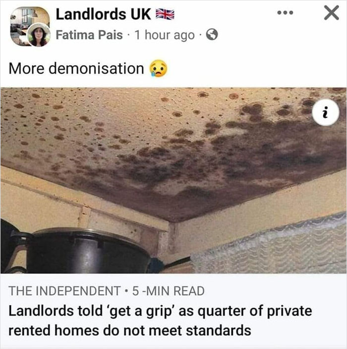 More Demonisation Indeed. (Context: A Kid In The UK Recently Died Due To Mould Poisoning After Years Of Complaints About It From The Parents Went Unheeded)