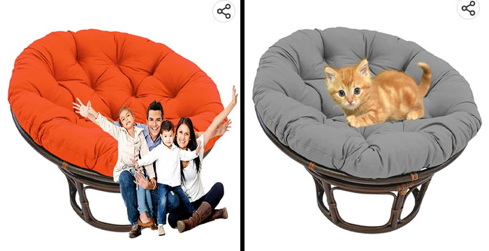 ¡Gatitos enormes y familias en miniatura pueden disfrutar de esta silla!