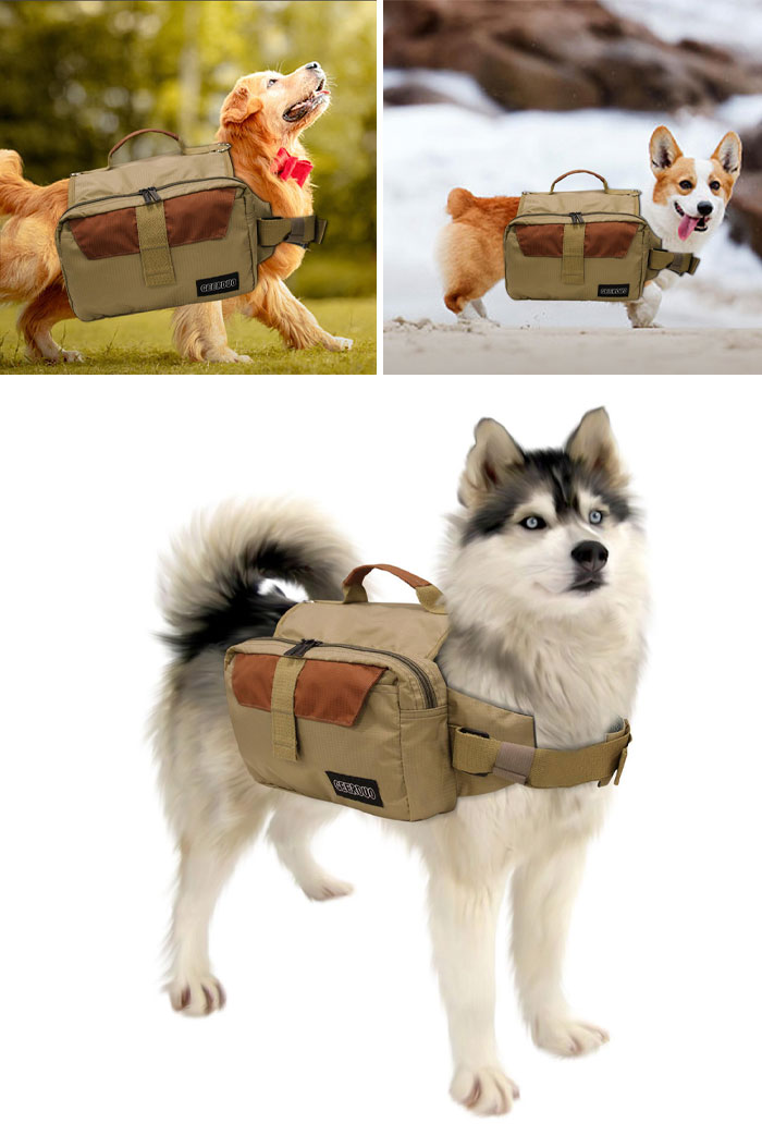 Which Of These Good Boys "Wears" It Best?
