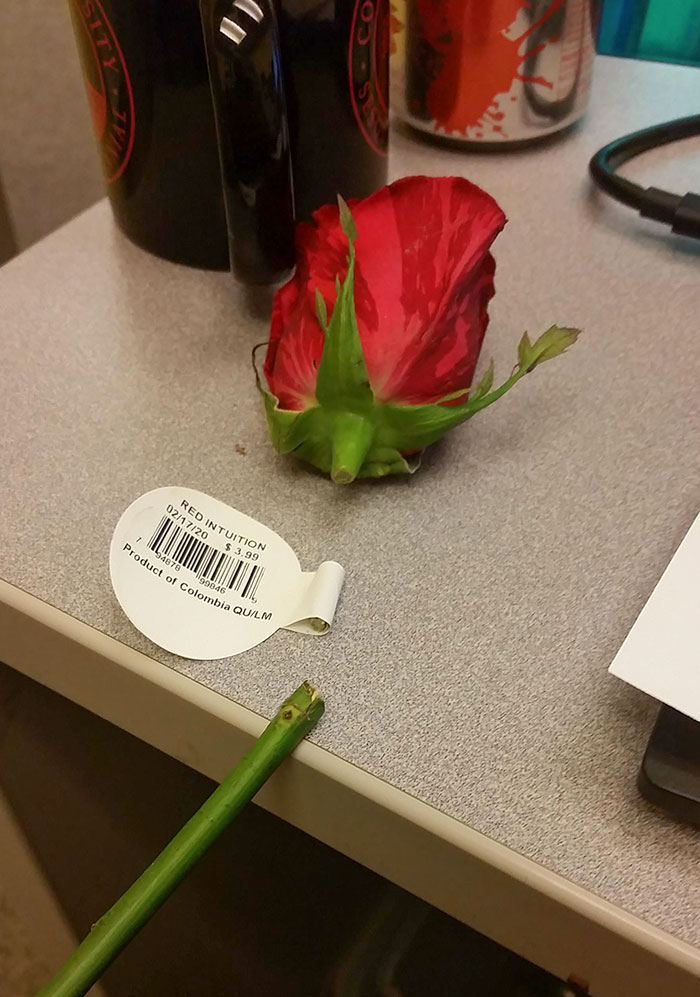 Bought A Single $4 Rose To Brighten Up My Desk For Valentine's Day, And Tried To Remove The Inexplicable Tag