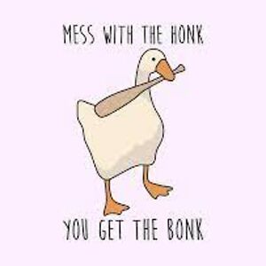 oliviaasciutto avatar