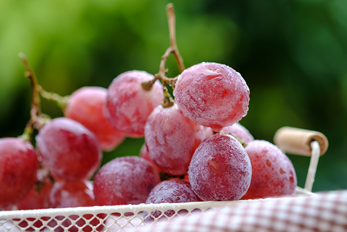Cold Grapes. Best Snack Ever When You Want Something Sweet