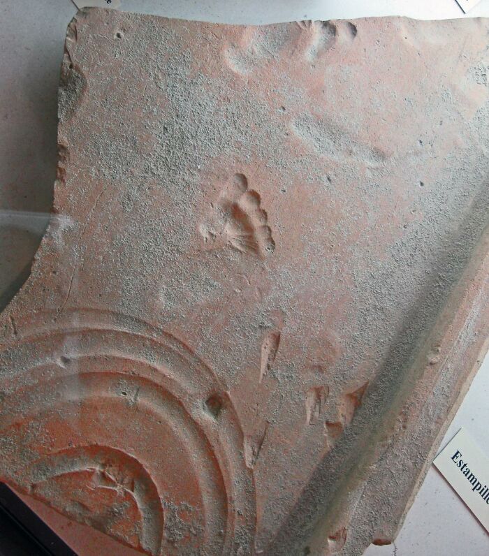 A Roman Toddler's Footprint In A Red Clay Tile, Imprinted As It Was Drying ~2000 Years Ago