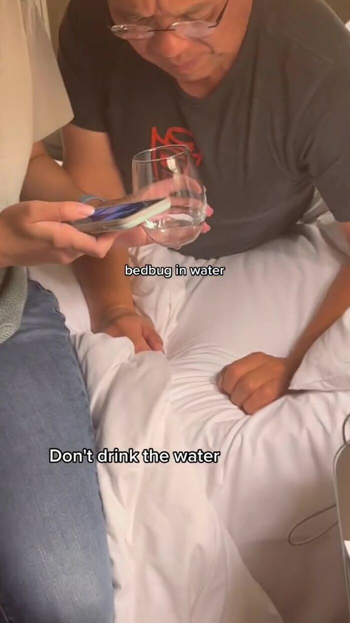 Woman Documents Hotel’s Brilliant Response After Finding A Single Bedbug In A Room Woman Documents Hotel’s Brilliant Response After Finding A Single Bedbug In A Room