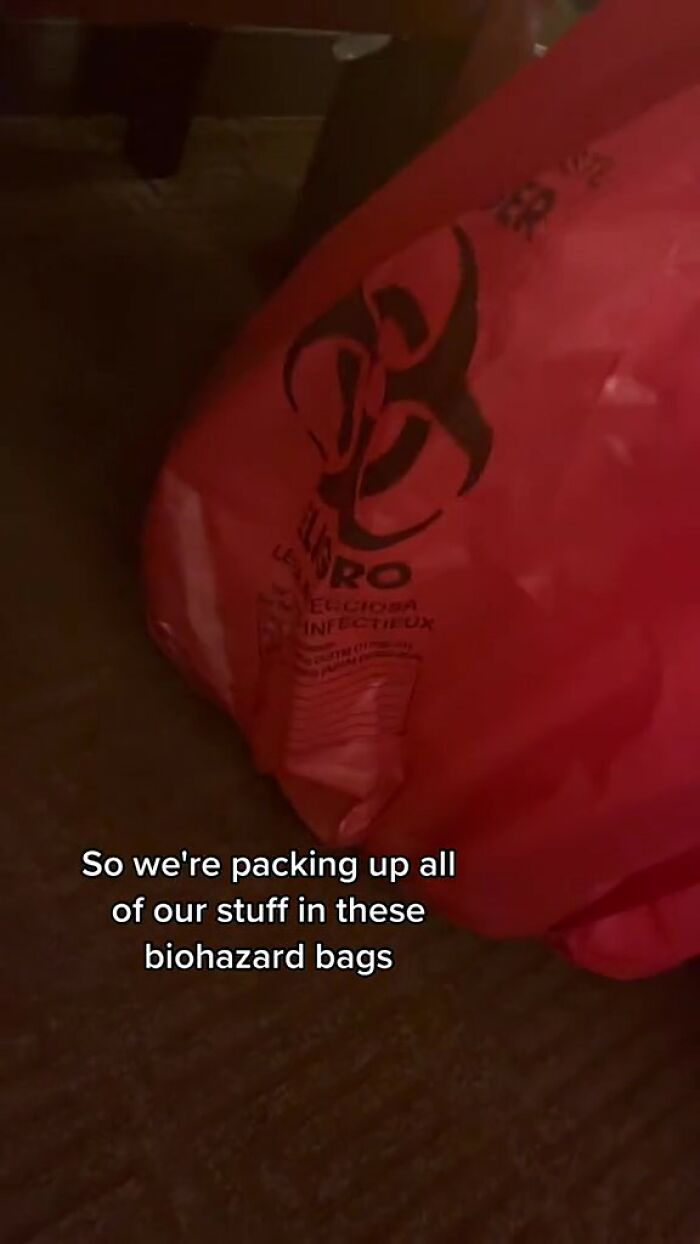 Woman Documents Hotel’s Brilliant Response After Finding A Single Bedbug In A Room Woman Documents Hotel’s Brilliant Response After Finding A Single Bedbug In A Room