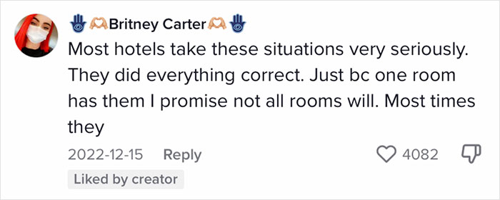 Woman Documents Hotel’s Brilliant Response After Finding A Single Bedbug In A Room Woman Documents Hotel’s Brilliant Response After Finding A Single Bedbug In A Room