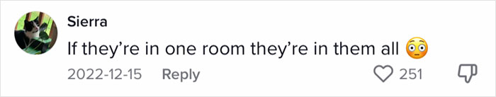 Woman Documents Hotel’s Brilliant Response After Finding A Single Bedbug In A Room Woman Documents Hotel’s Brilliant Response After Finding A Single Bedbug In A Room