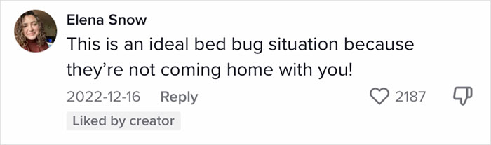 Woman Documents Hotel’s Brilliant Response After Finding A Single Bedbug In A Room Woman Documents Hotel’s Brilliant Response After Finding A Single Bedbug In A Room