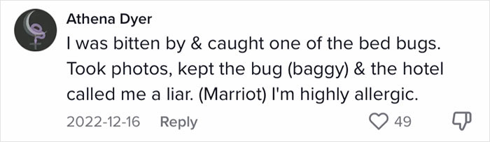 Woman Documents Hotel’s Brilliant Response After Finding A Single Bedbug In A Room Woman Documents Hotel’s Brilliant Response After Finding A Single Bedbug In A Room