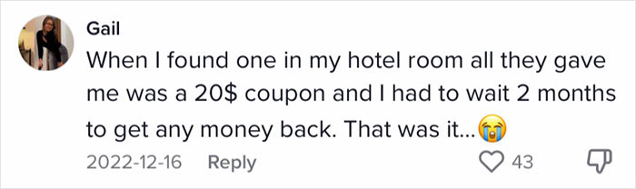Woman documents excellent hotel response after finding a bedbug in her room