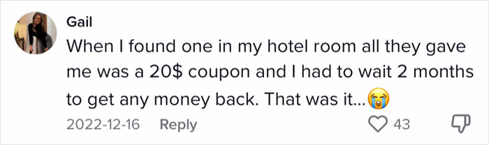 Woman Documents Hotel’s Brilliant Response After Finding A Single Bedbug In A Room Woman Documents Hotel’s Brilliant Response After Finding A Single Bedbug In A Room