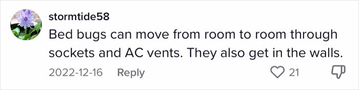 Woman Documents Hotel’s Brilliant Response After Finding A Single Bedbug In A Room Woman Documents Hotel’s Brilliant Response After Finding A Single Bedbug In A Room