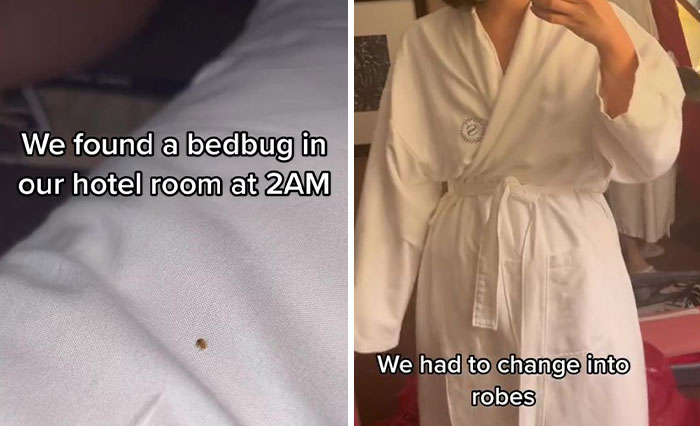 Woman Documents Hotel’s Brilliant Response After Finding A Single Bedbug In A Room
