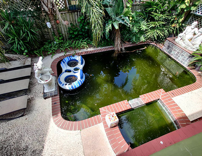 Fui de viaje hace varias semanas a Nueva Orleans y nuestro anfitrión de Airbnb no nos dijo que la piscina no se podía usar y que los aires acondicionados también estaban estropeados
