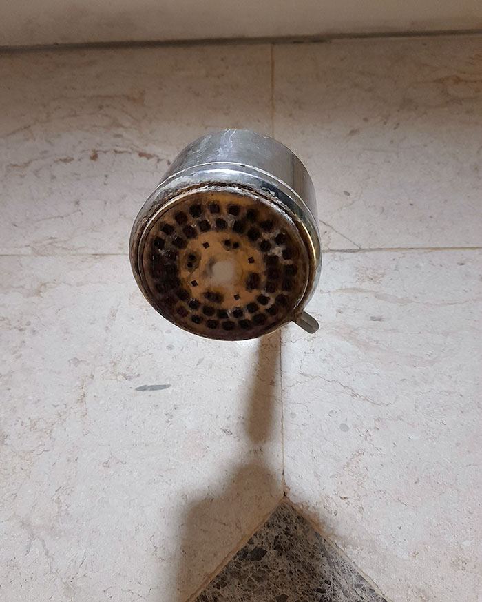 La alcachofa de la ducha de un hotel de 4 estrellas