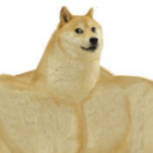 flynnbrancamp avatar